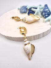 Load image into Gallery viewer, Gold base earrings with snail shell

