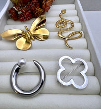 Load image into Gallery viewer, Different Styles brooches Seductive Collection
