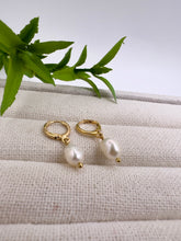 Load image into Gallery viewer, One freshwater pearl hoop earrings
