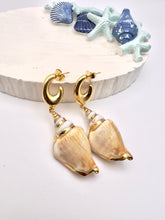 Load image into Gallery viewer, Gold base earrings with snail shell
