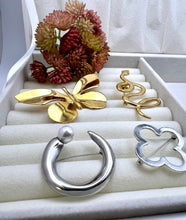 Load image into Gallery viewer, Different Styles brooches Seductive Collection
