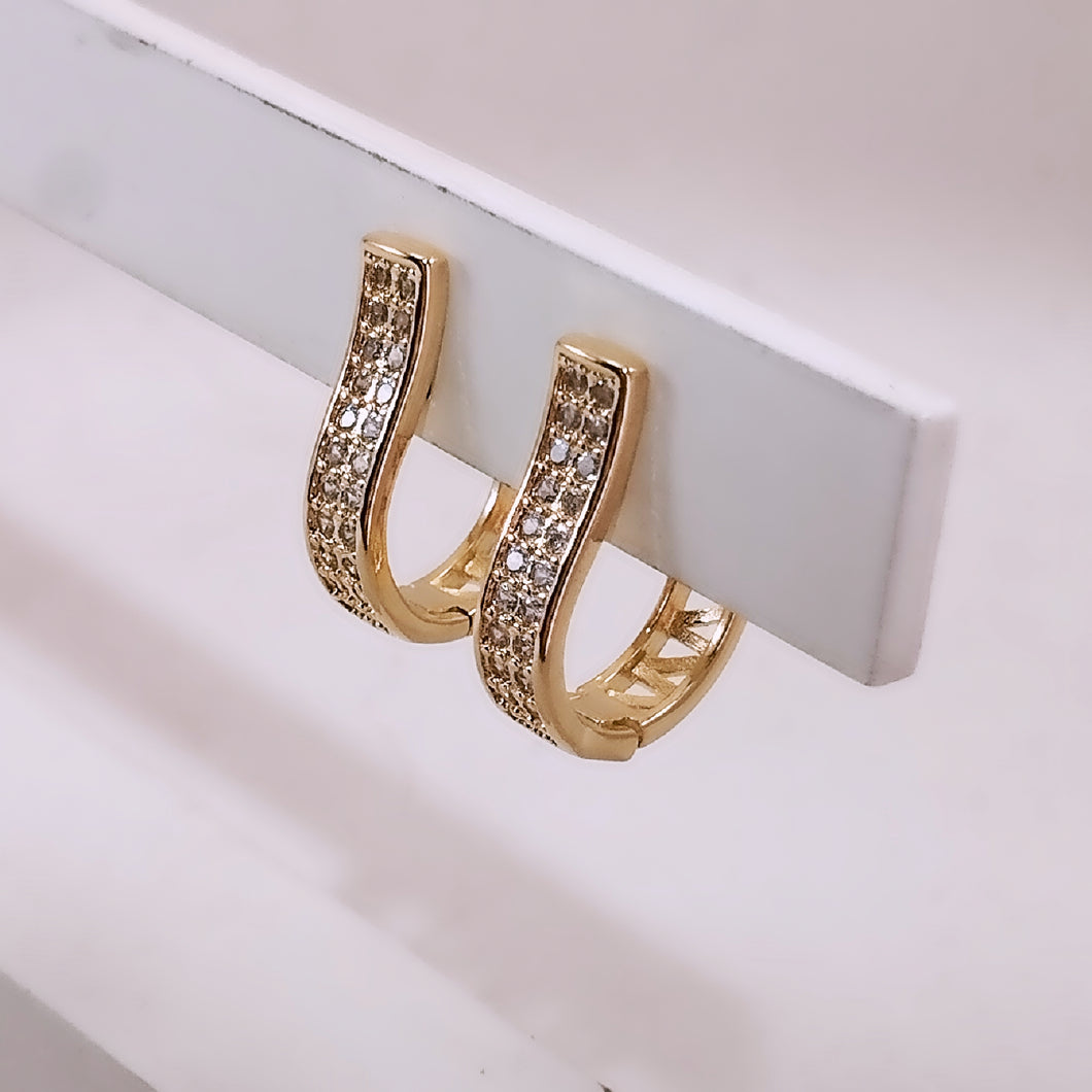 Flat cz  hoop raised in front earrings