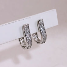 Load image into Gallery viewer, Flat cz  hoop raised in front earrings
