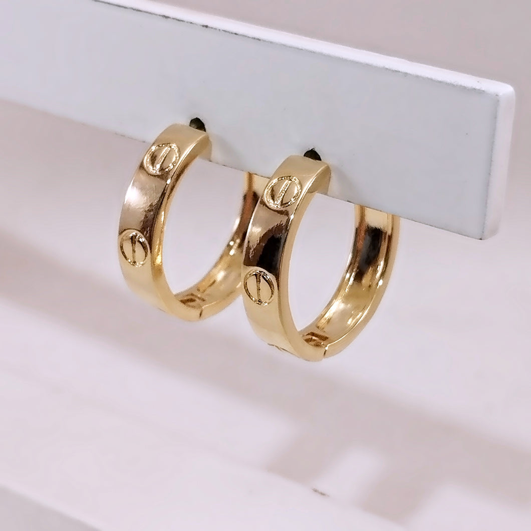 Inspired Carryer basic hoop earrings